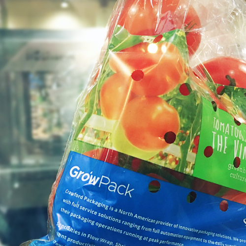 tomatoes-on-the-vine-packed-in-growpack-tov-bags-with-blue-design